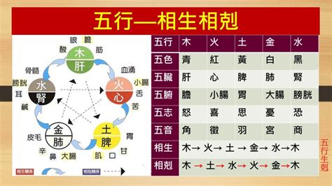 五行 相剋 結婚|五行、木、火、土、金、水、五行相生相剋、五行相生。